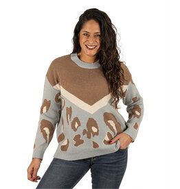 Lichtblauw/bruin print trui van Kaylla
