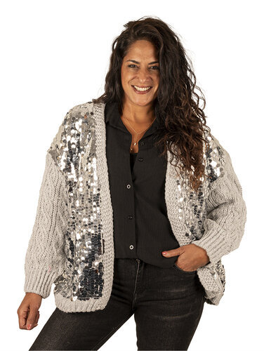 Grijs kabel vest met pailletten
