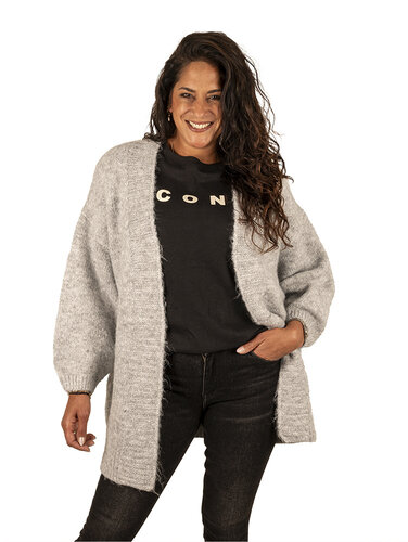 Lichtgrijs gebreid vest van Jubylee