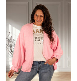 Gemma Ricceri Roze gebreid vest van Gemma Ricceri