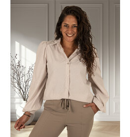 Gemma Ricceri Taupe/wit gestreepte blouse strass