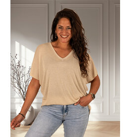 Gemma Ricceri Beige shirt V-hals glitter