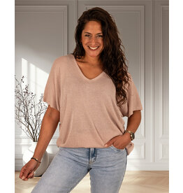 Gemma Ricceri Oudroze shirt V-hals glitter
