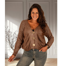 Gemma Ricceri Donkerbruin glitter vest broches van Gemma Ricceri