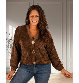 Gemma Ricceri Bruin vest broches van Gemma Ricceri