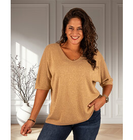 Triple Nine Beige trui glitter