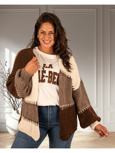 Bruin/beige gebreid vest van Willy-Z