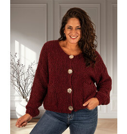 Gemma Ricceri Bordeaux vest knopen van Gemma Ricceri