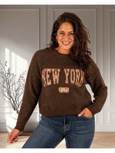 Donkerbruine trui "New York"