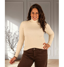 Gemma Ricceri Beige glitter trui met col