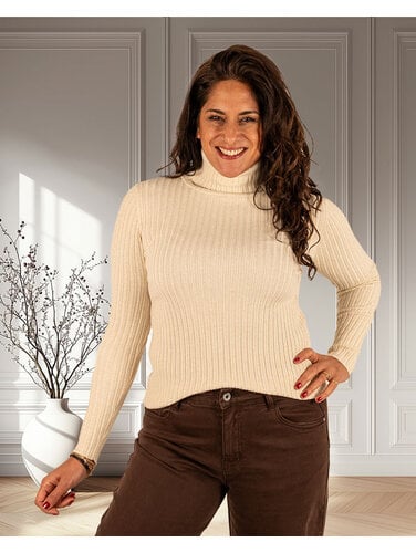 Gemma Ricceri Beige glitter trui met col