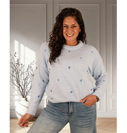 Lichtblauwe trui hartjes