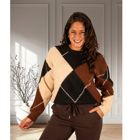 Zwart/bruin/beige geruite trui
