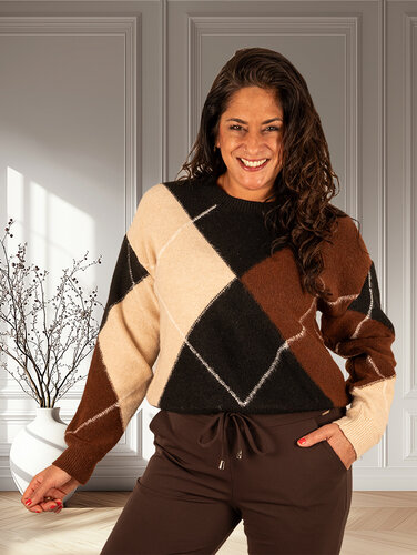 Zwart/bruin/beige geruite trui