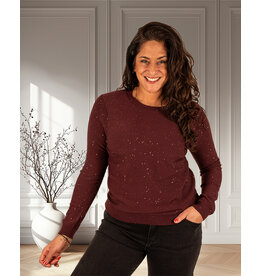 Bordeaux shirt glitter