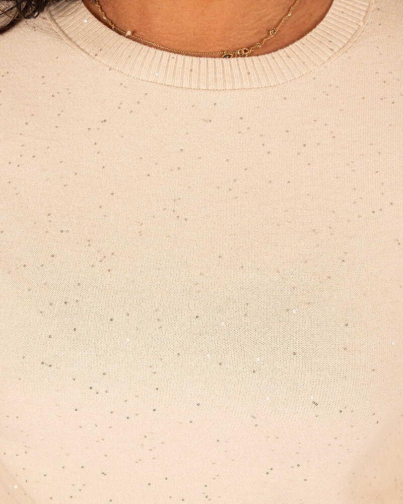 Beige shirt glitter van Aviva