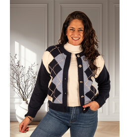 Donkerblauwe ruitprint vest