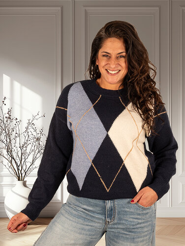 Blauw/beige ruitprint trui