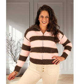 Bruin/roze gestreept vest