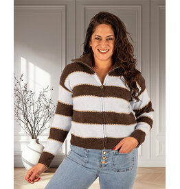 Bruin/lichtblauw gestreept vest