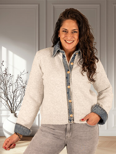 Lichtgrijs vest jeans details