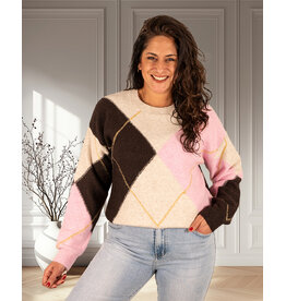 Bruin/roze/beige geruite trui