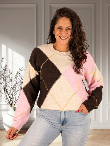 Bruin/roze/beige geruite trui