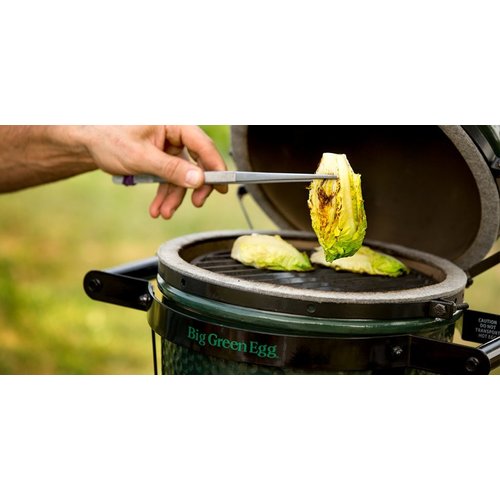 Big Green Egg Big Green Egg Mini