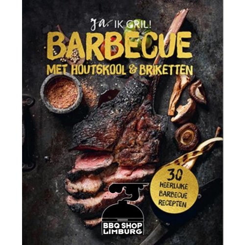 Lantaarn BARBECUE met houtskool & briketten 30 heerlijke barbecue recepten