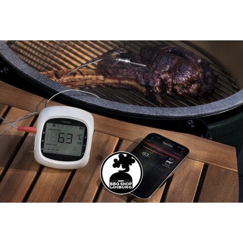 HerQs HerQs 6 kanaals Bluetooth thermometer