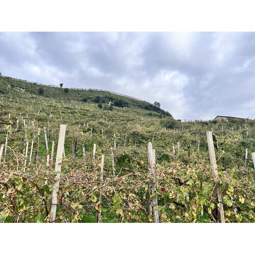 BBQ Hero Vr 20 november 2026 – 19:30 – 22:00 - Bubbels & Bites – Prosecco Superiore Tasting