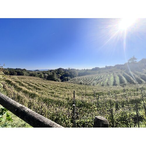 BBQ Hero Vr 20 november 2026 – 19:30 – 22:00 - Bubbels & Bites – Prosecco Superiore Tasting