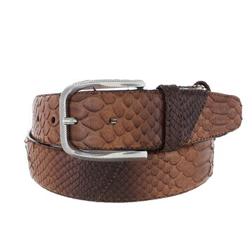 JOB86 Exclusieve python riem 4cm | Curry bruin