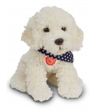 Hermann Teddy Hond Labradoodle Zittend