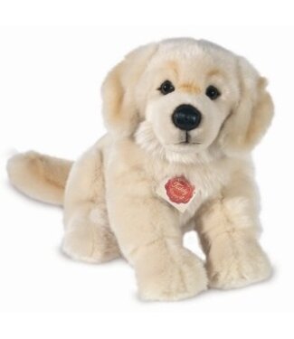 Hermann Teddy Hond Golden Retriever Zittend