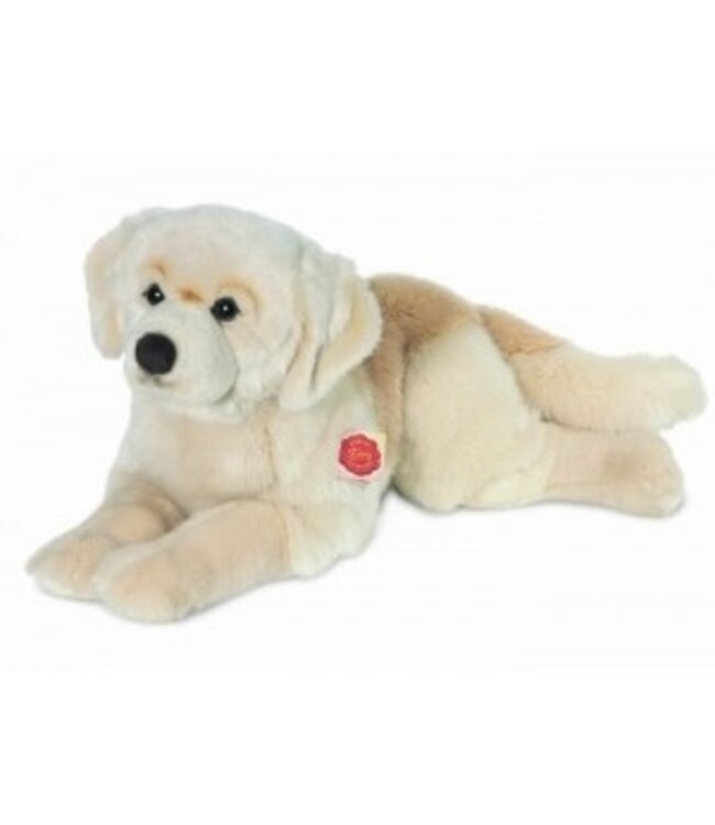 Hermann Teddy Hond Golden Retriever