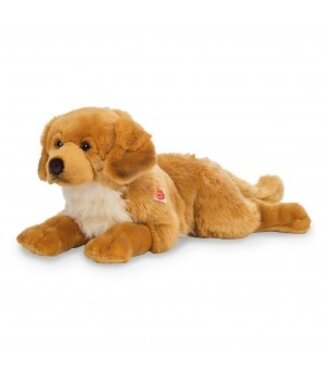 Hermann Teddy Golden Retriever Liggend