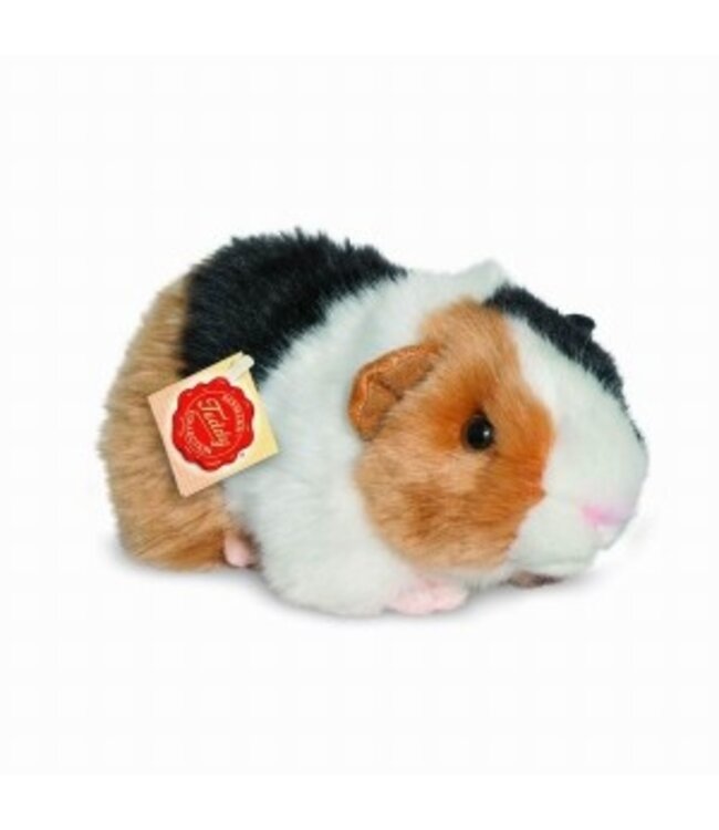 Hermann Teddy Cavia Tricolor