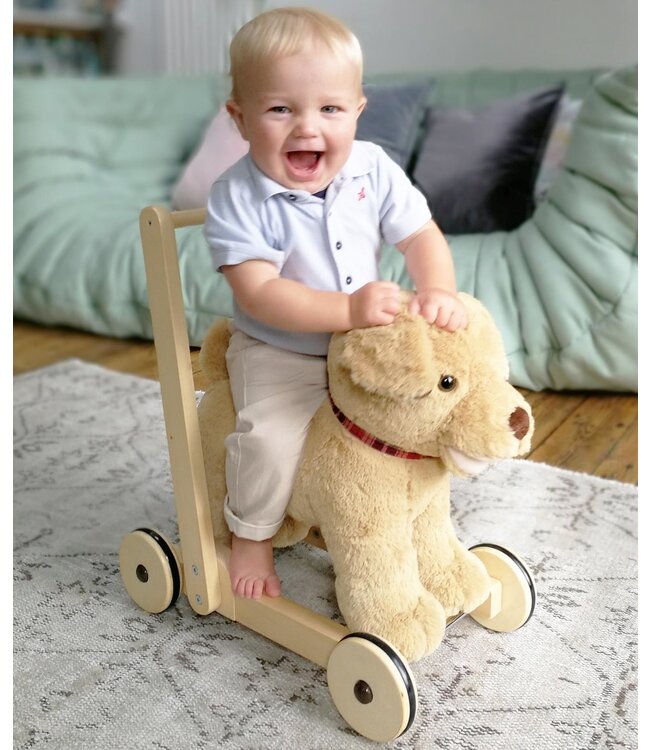 Little bird told me Walker Dexter