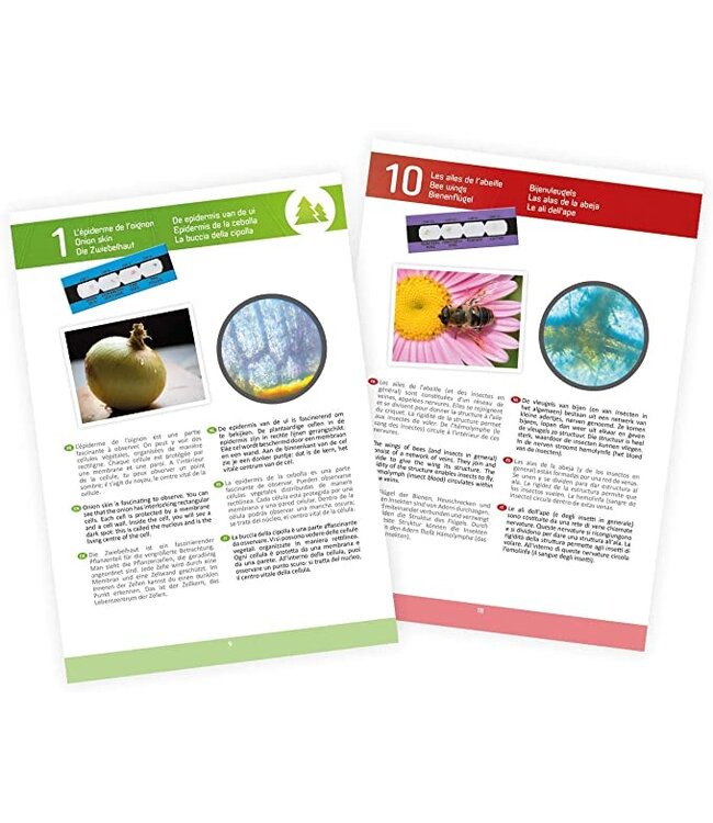 Buki Microscoop met 15 Experimenten