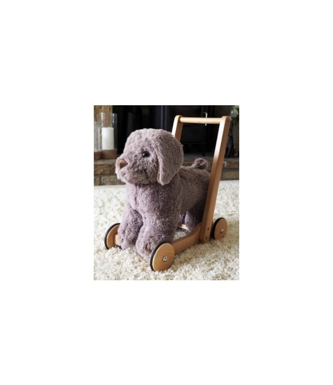 Little bird told me Walker Bailey Dog