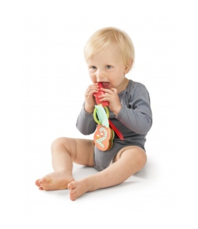 Sophie La Girafe Numero'golo image book