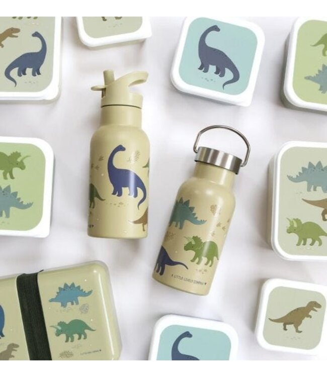 ALLC Rvs Drinkfles Dino