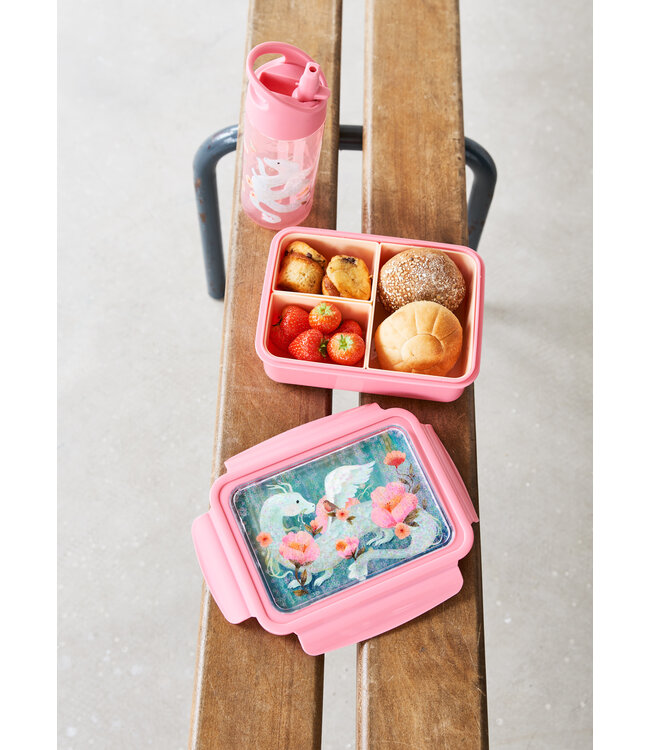 Petit Monkey Lunchbox/Bento Draakje