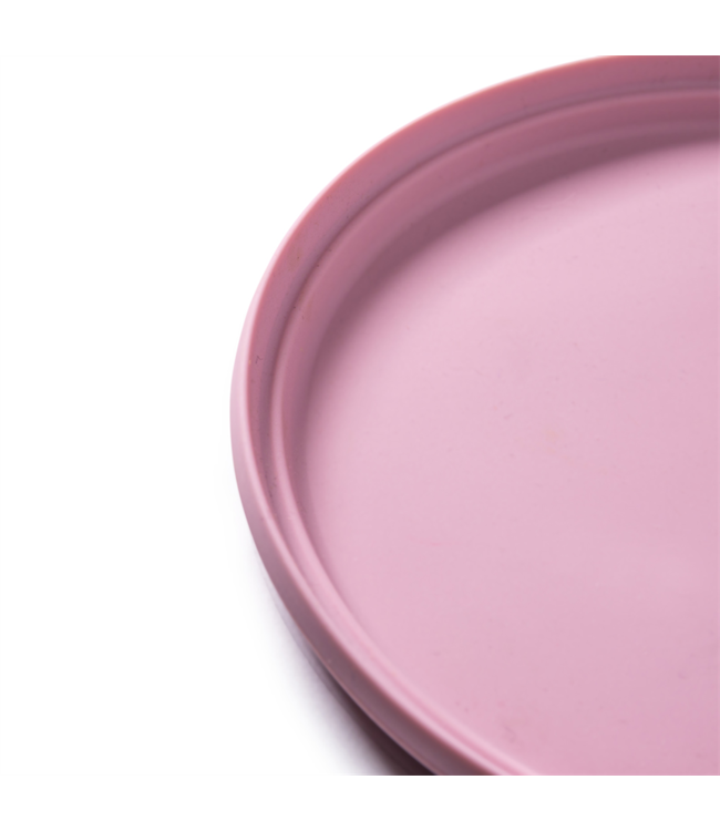 Bigjigs Frisbee Blush Roze