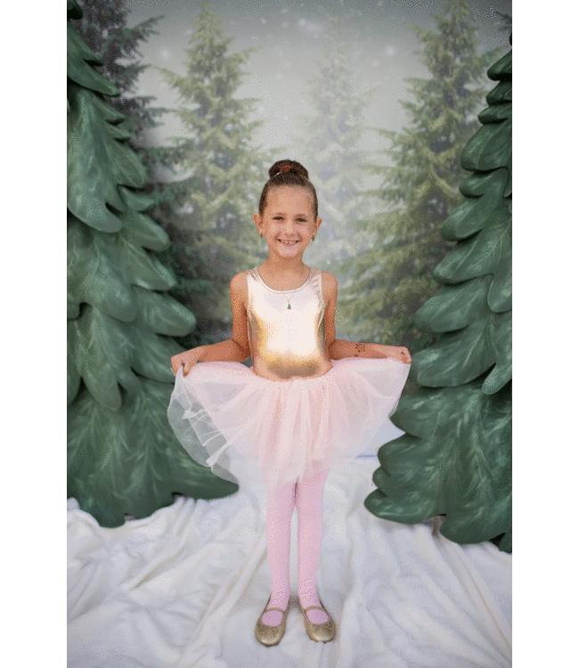 Great Pretenders Jurk Ballet GRoze 5-6