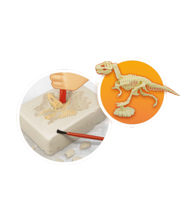 Buki Vulkanen en Dinosaurussen