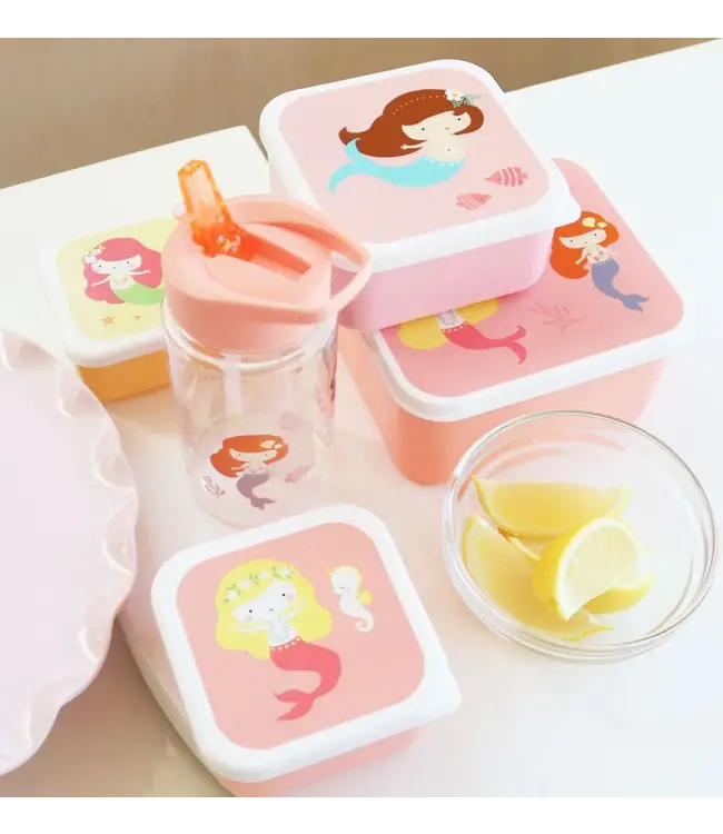 ALLC SnackBox - Zeemeermin