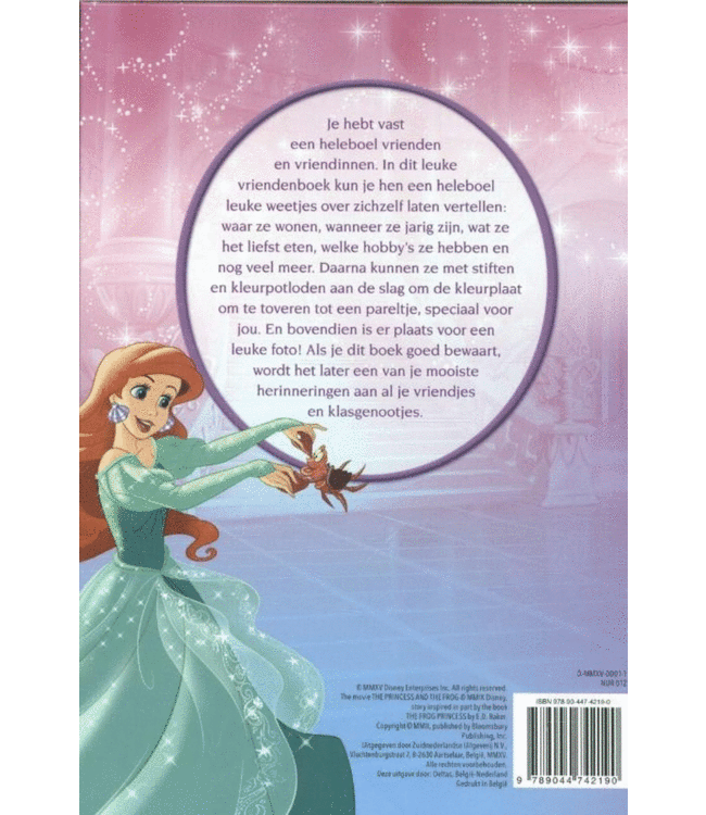 Deltas Disney Princess - Vriendenboek