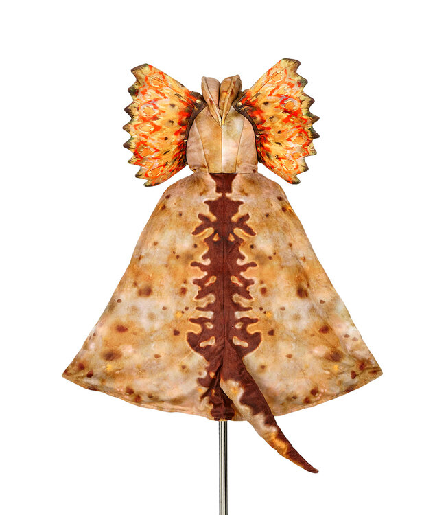 Souza Cape Dilophosaurus 4-7